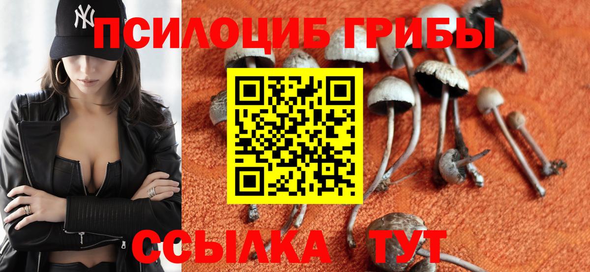 Галлюциногенные грибы мухоморы Елец