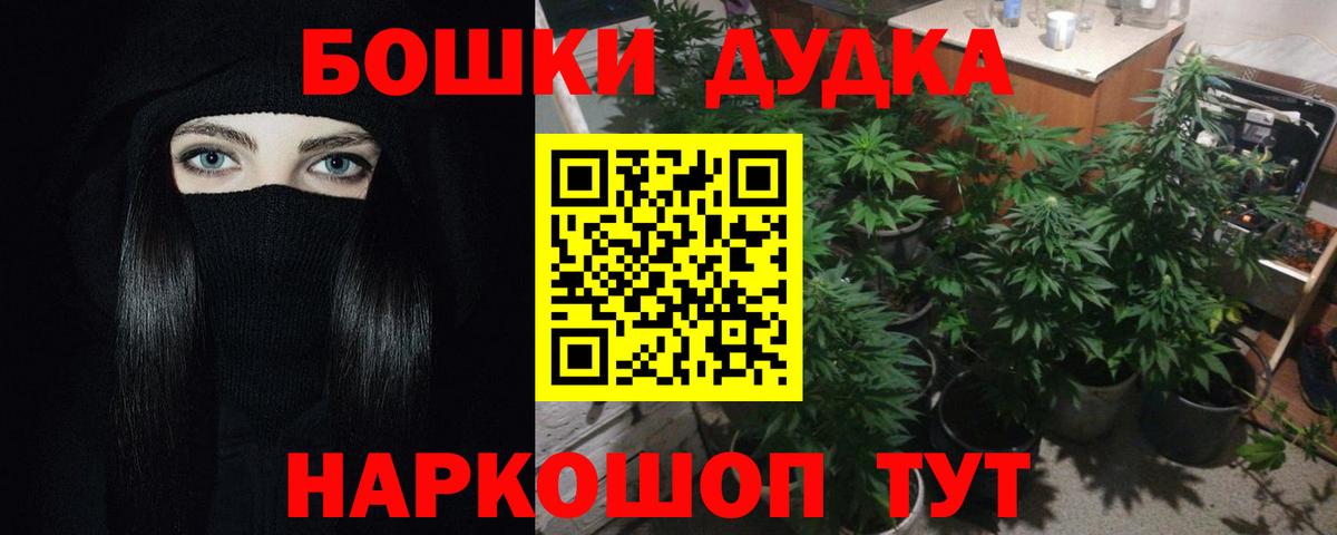 Канабис план  Вход с VPN  Бошки Шишки индика  Бошки Шишки SATIVA & INDICA  Елец 